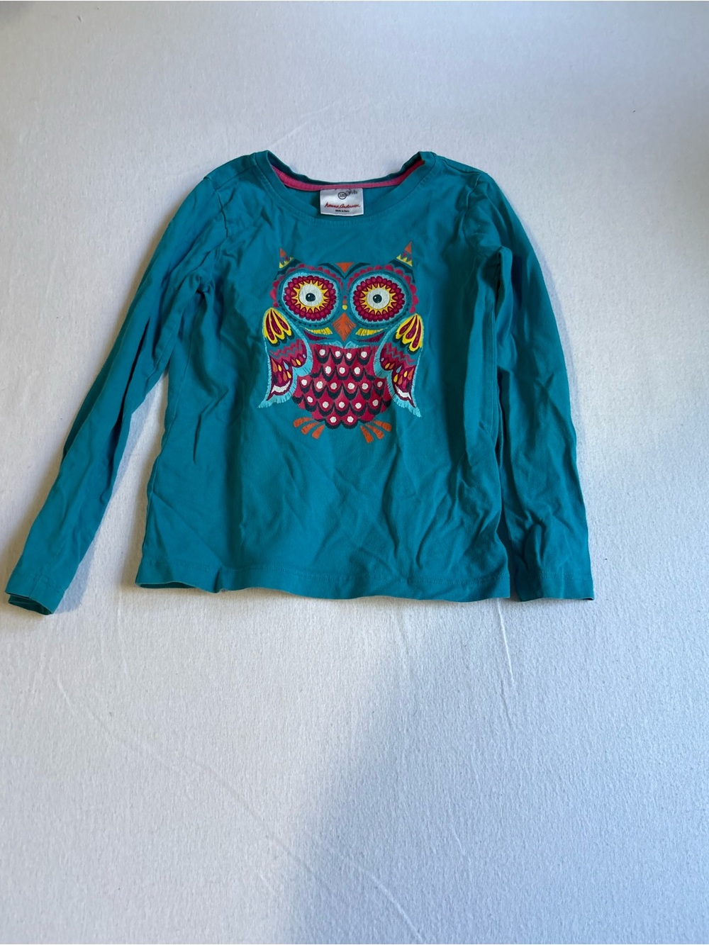 Hanna Andersson Teal Long-Sleeve Owl Applique Tee